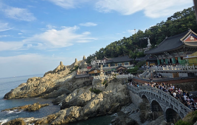 부산 기장 여행 코스 해동용궁사 산책 후 풍원장 시골밥상집
