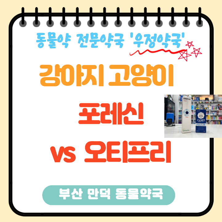 [부산동물약국] 강아지 고양이 귀염증약 포레신 vs 귀세정제 오티프리 성분·사용법 (feat 우정....