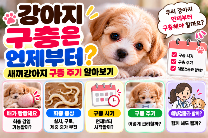 강아지 구충은 언제부터?｜새끼강아지 구충 주기 알아보기 | 강아지 구충 |