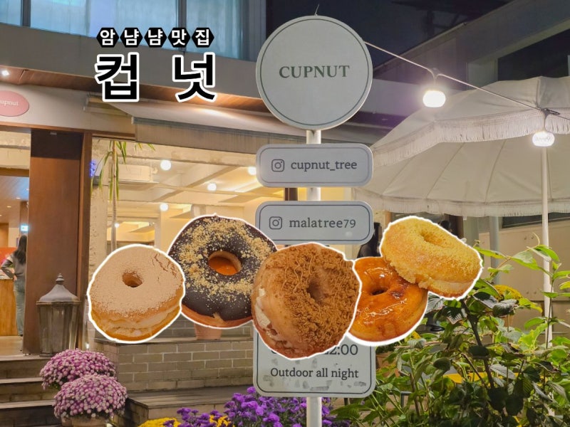 창원 가로수길｜'컵넛' 빵돌이 최애 도넛 맛집 - 애견동반 카페