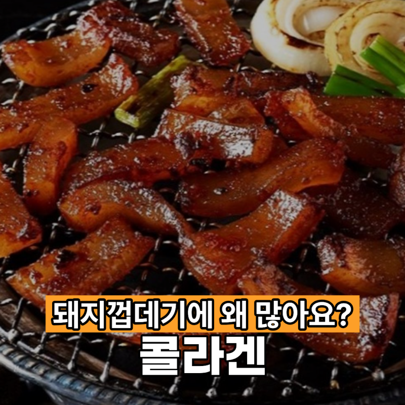 콜라겐이 돼지껍데기에 많은 이유는? 먹으면 피부로 그대로 갈까