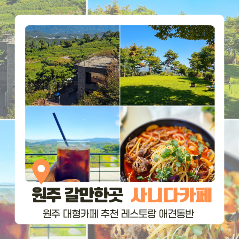 원주 여행지 갈만한곳 사니다 원주 대형카페 추천