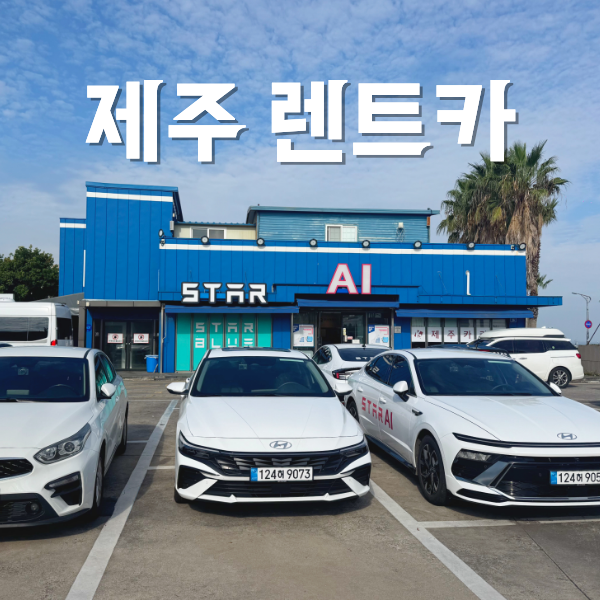 제주도 렌트카 가격 하루 요금 9,800원에 빌린 후기