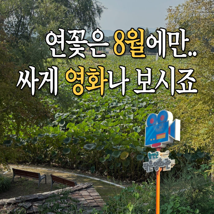 慶南 咸安の見どころ_一人旅1編（咸安小さな映画館、伽耶市場、5日市、蓮の花テーマパーク）