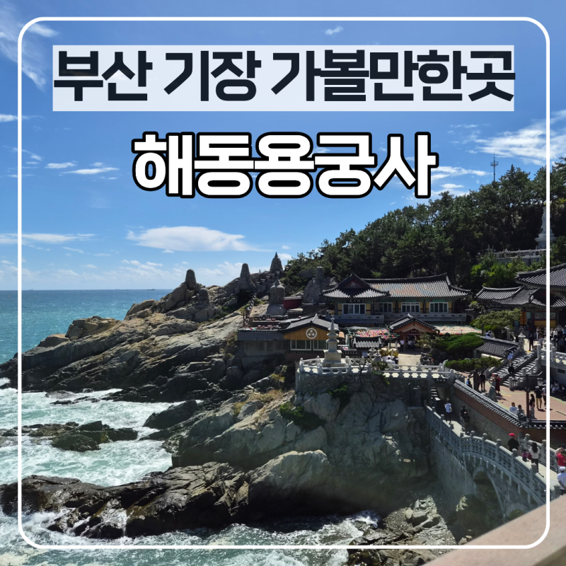 부산 해동용궁사 기장 가볼만한곳 두돌아기랑 바다사찰 소원빌어요