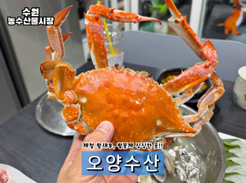 수원 농수산물시장 새우 맛집 오양수산 제철 대하 꽃게 모듬회