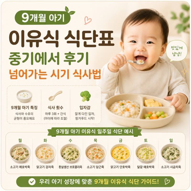 9개월 아기 중기 후기 이유식 배마마 식단표