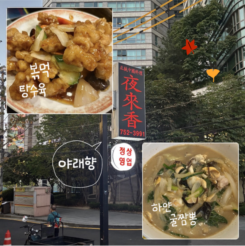 서울 중구 회현역 중식당 삼선 백짬뽕과 볶먹 탕수육 맛집 야래향