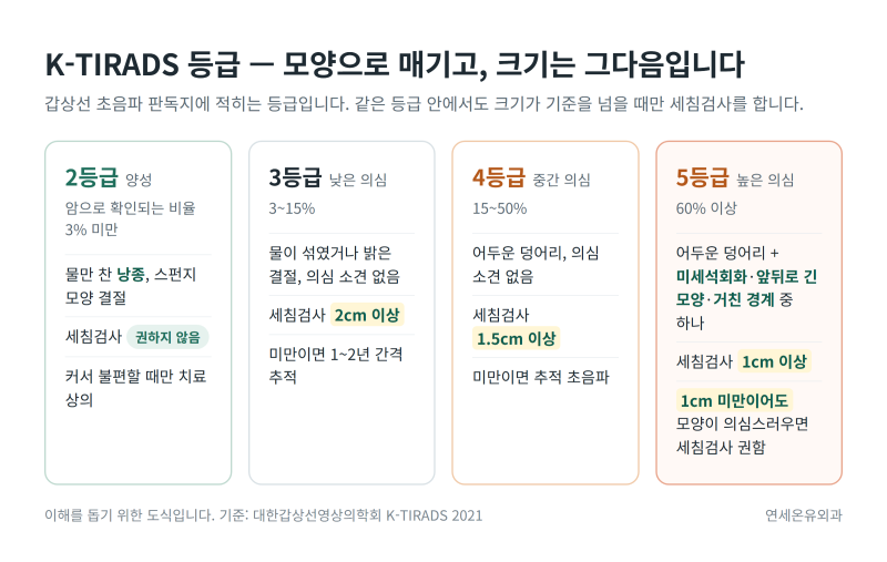 [김포 갑상선] 갑상선초음파 결과지의 결절, 크기보다 K-TIRADS 등급을 먼저 보십시오 — 세침....