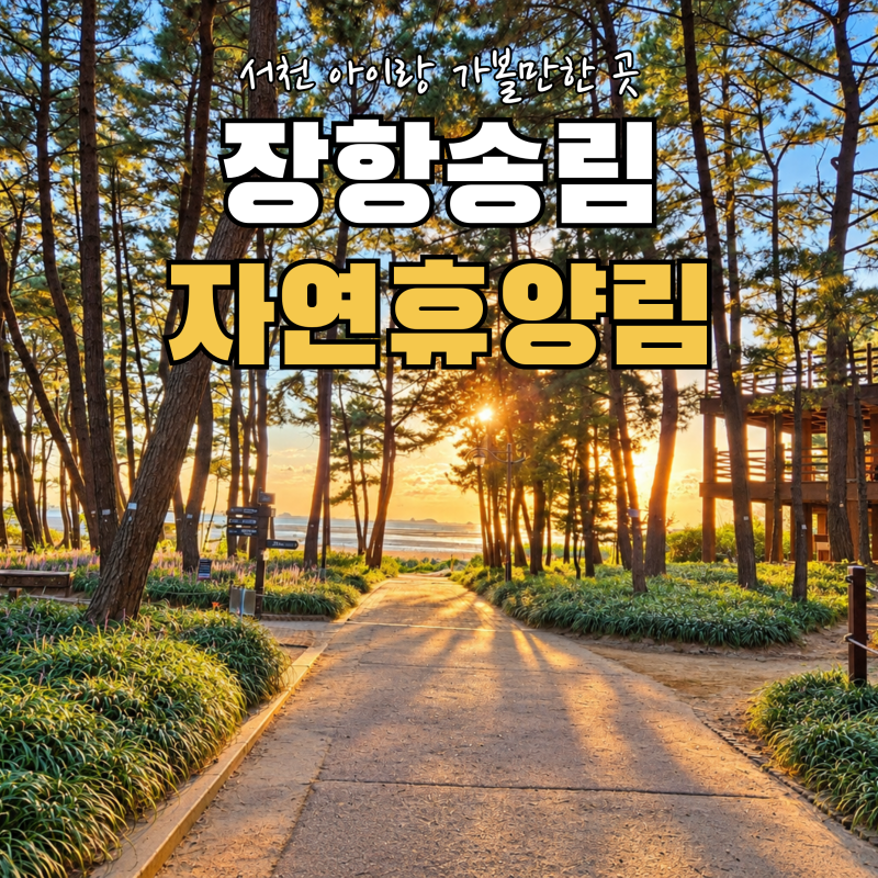 서천 장항송림자연휴양림 아이와 갯벌체험｜유아숲놀이터·스카이워크