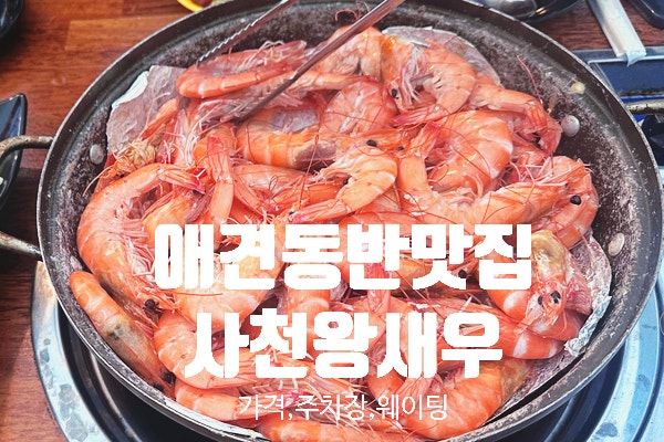 [사천맛집] 사천왕새우 애견동반식당 웨이팅 뚫고 다녀온 후기 (가격,주차장정보)