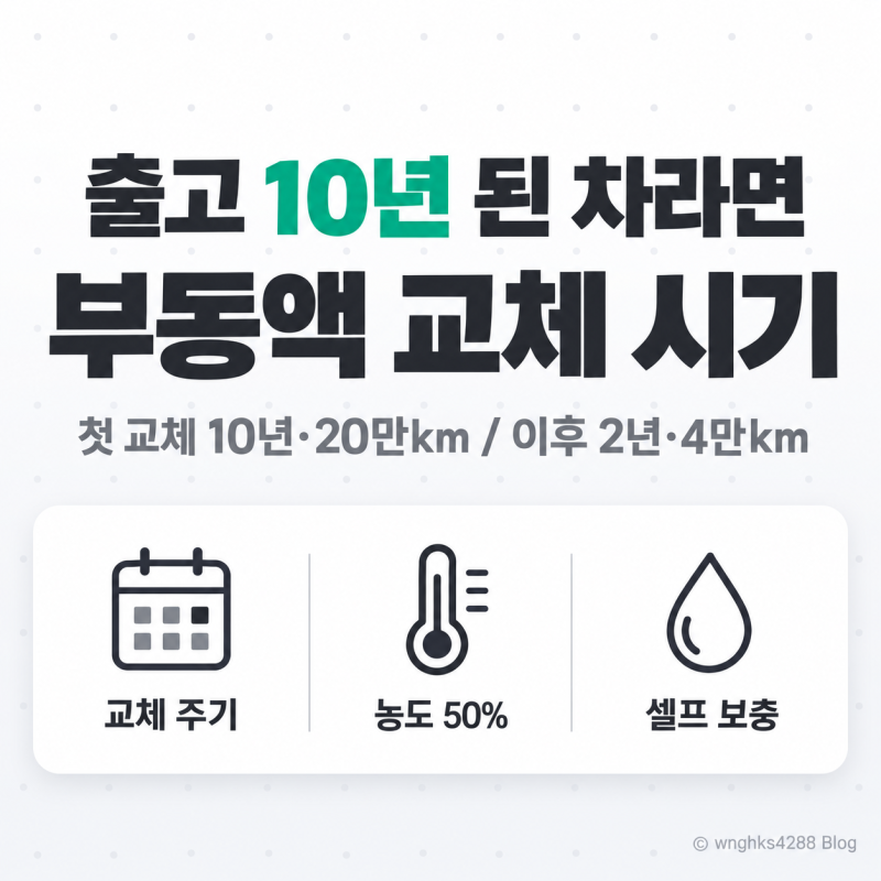 출고 10년 된 차라면 겨울 전 부동액 교체 시기