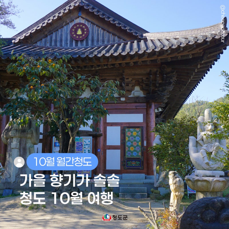 [10월 월간청도] 가을 향기가 솔솔, 청도 10월 여행