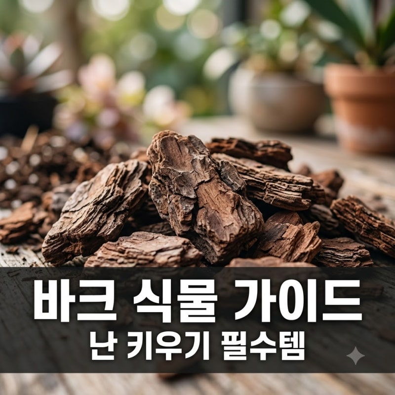 바크 어떤 식물에 쓸까? 난 키울 때 꼭 필요한 이유 3가지