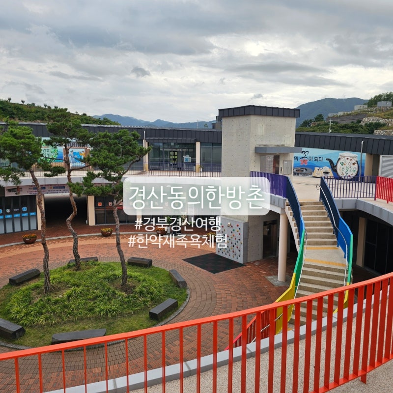 慶北慶山必訪景點：慶山東醫韓方村，韓藥材足浴體驗心得