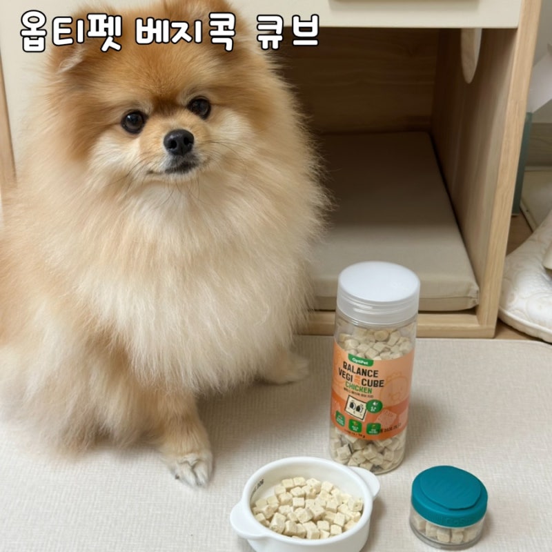 강아지동결건조간식 추천, 채소까지 담은 옵티펫 베지콕 큐브
