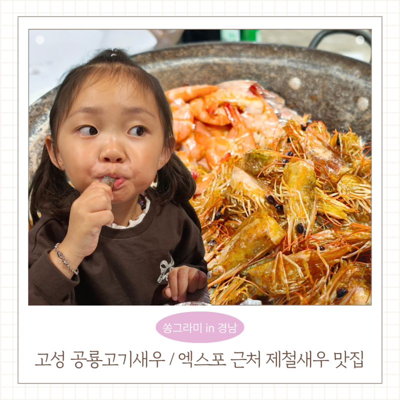 경남 고성 공룡엑스포 근처 제철 새우구이 맛집 공룡고기새우 아이와 방문 팁