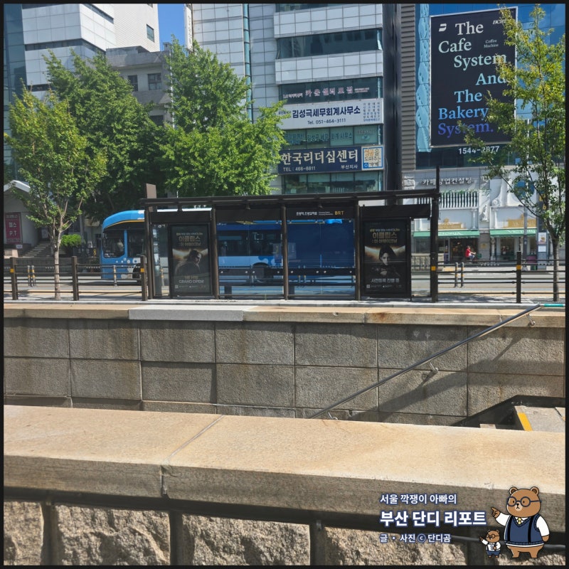 10월부터 부산 버스 현금 안 받는다? 초등학생 교통카드 없을 때 대처법