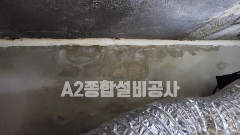 화장실 천장 누수, 우리 집 문제일까 윗집 문제일까?