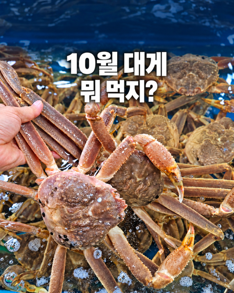 10월 대게 뭐 먹지? 러시아대게와 홍게, 영덕대게는 언제부터?