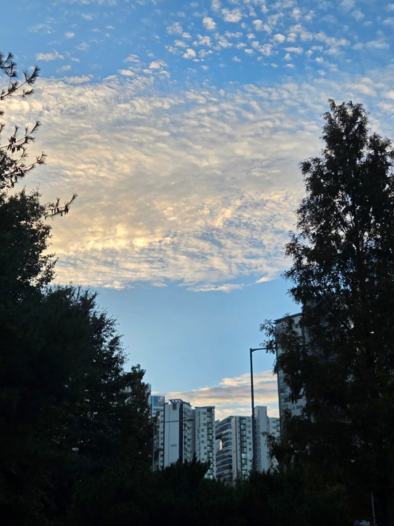 강남 제모 밴스의원 강남점 턱 인중 1회 받아본 후기