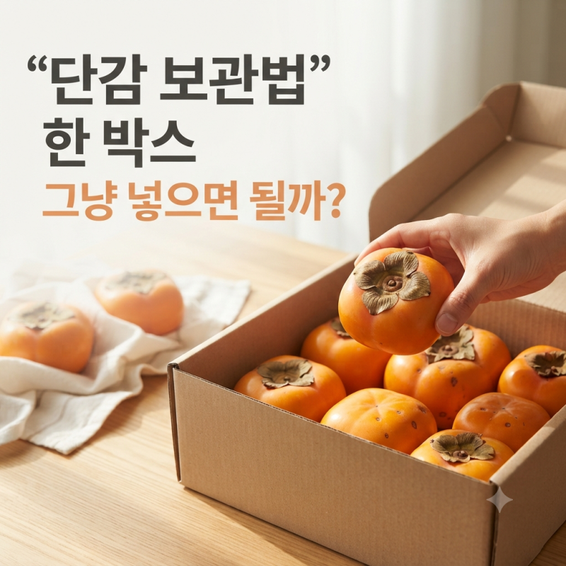 단감 보관법, 한 박스 오래 두고 먹으려면 냉장고에 그냥 넣으면 안 될까?
