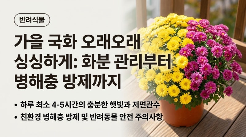 가을 국화 화분 키우기 필수 가이드: 진딧물 해충 퇴치와 반려동물 주의사항