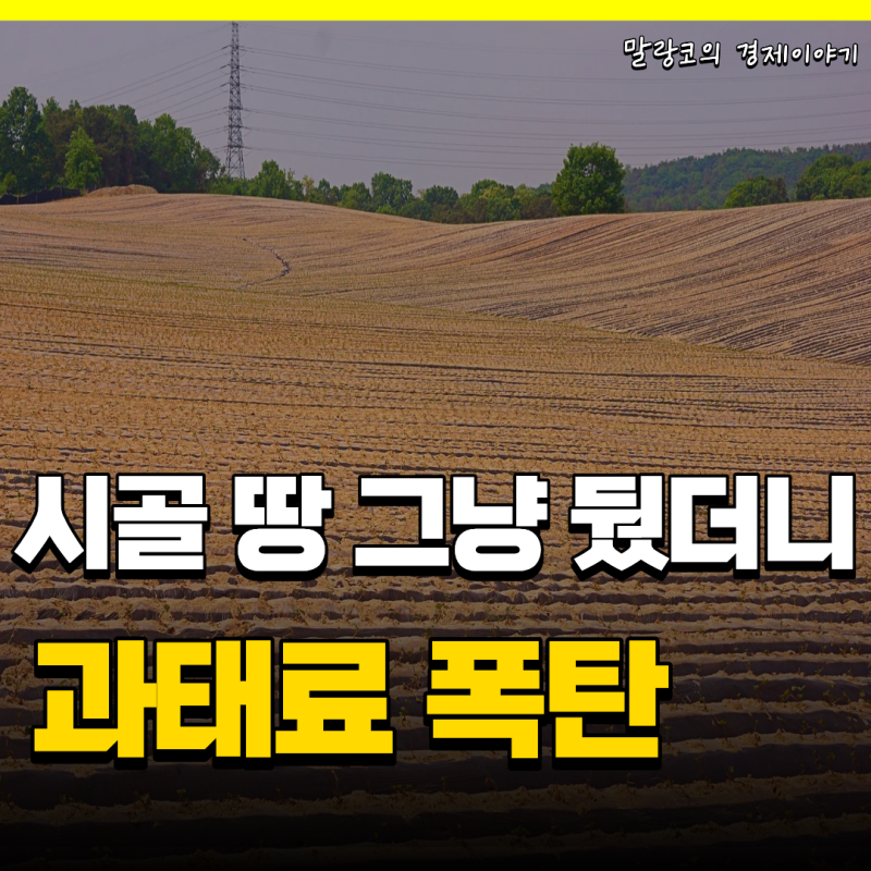 농지전수조사 '과태료 폭탄' 피하려면(대상 토지 범위 확인방법)