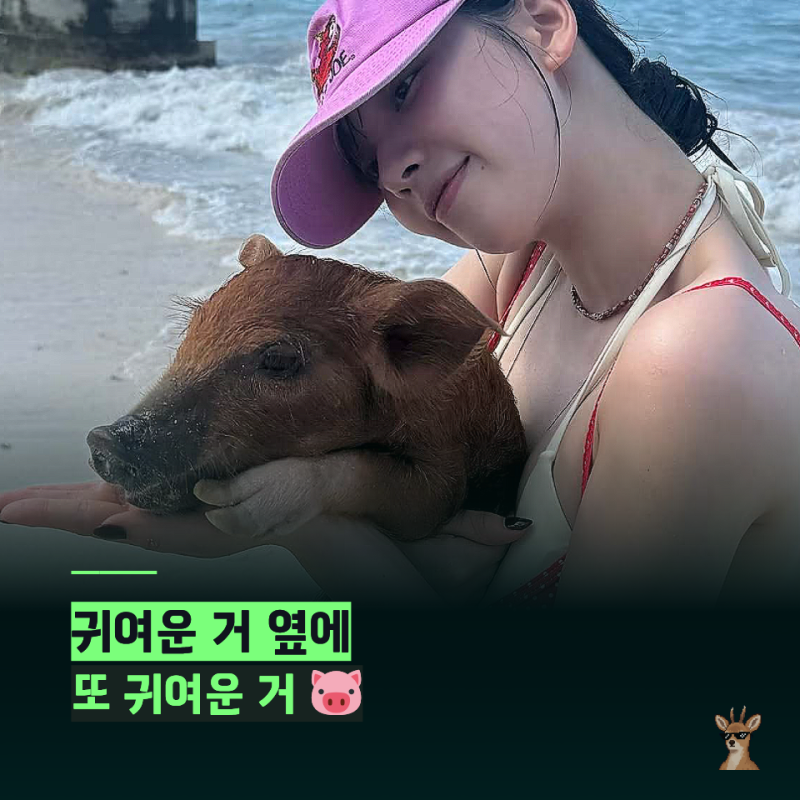 "바하마 가더니 제대로 신났네" 카리나 인스타 아기돼지보다 귀여운 휴가 근황