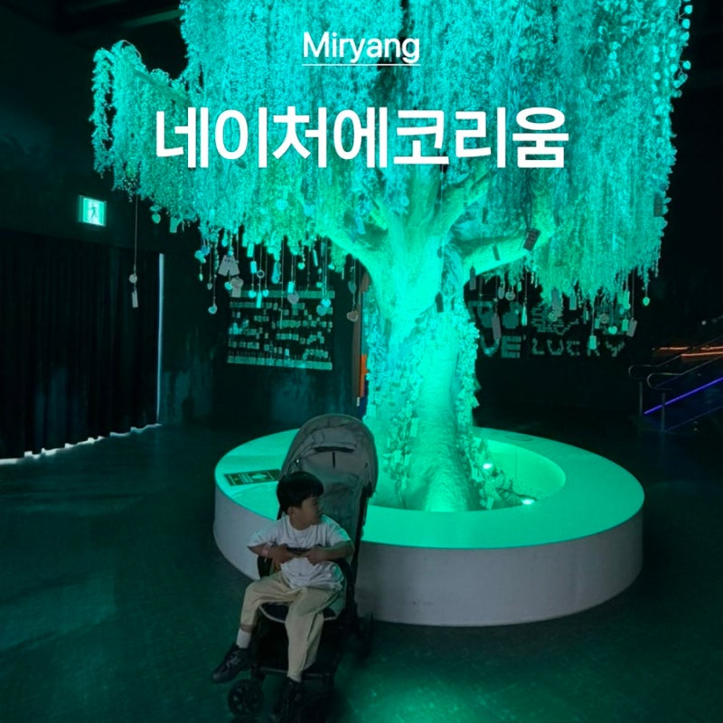 경남 아기랑가볼만한곳 밀양션샤인테마파크 네이처에코리움실내 미디어아트 밀양 아이랑가....