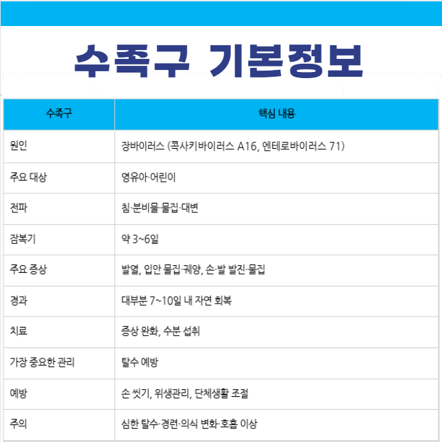 수족구 기본정보