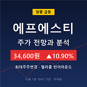 에프에스티 주가 전망과 분석 최대주주변경 공시 및 펠리클 실적 반등