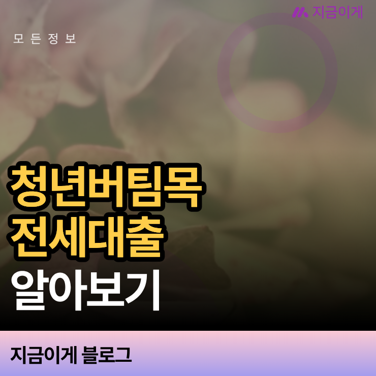 청년버팀목전세대출 심사 거절 사유는? 보증기관별 한도 차이