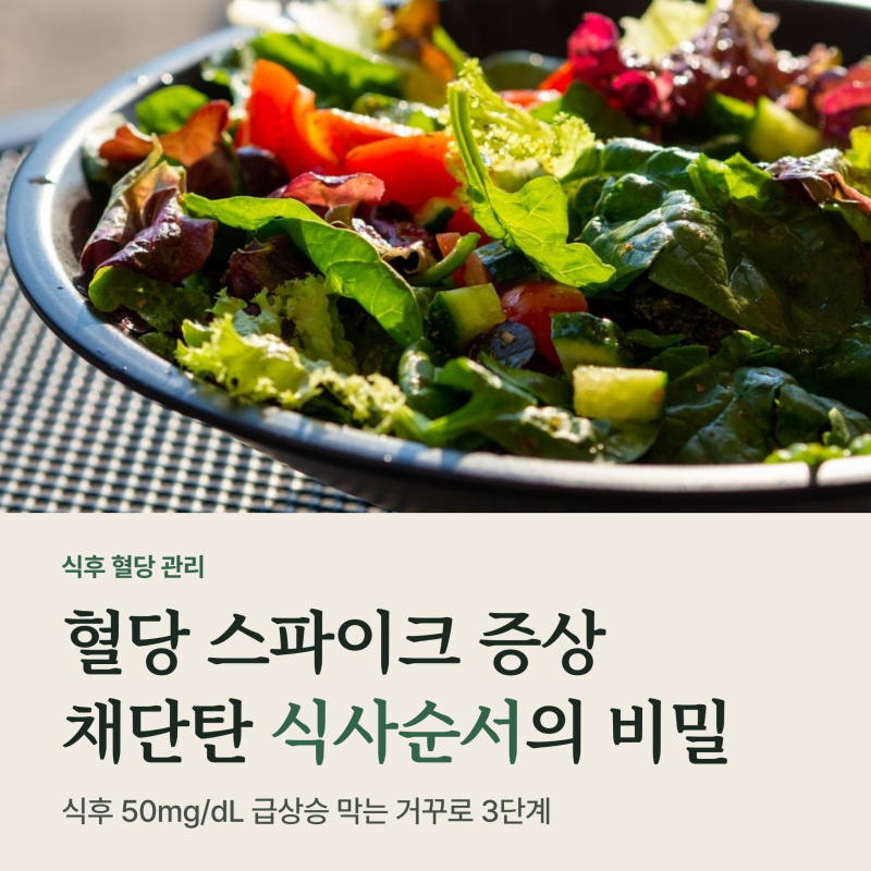 혈당 스파이크 증상 막는 식사순서, 채단탄 3단계 원리와 식후 50mg 기준