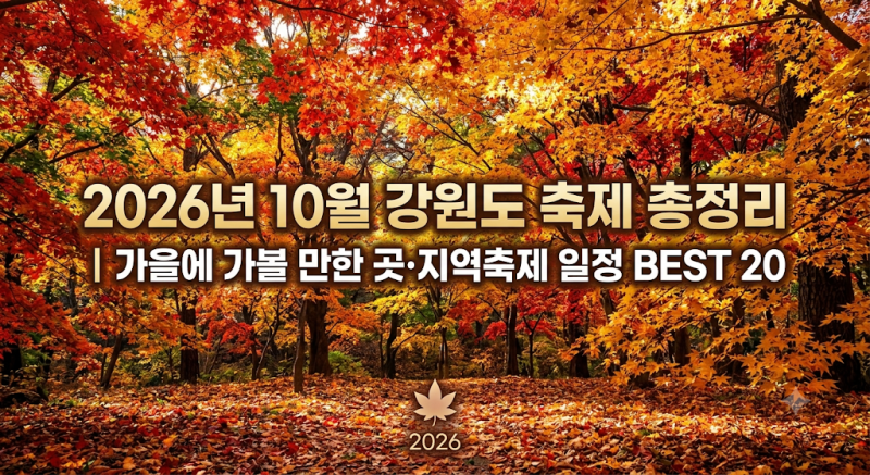 2026년 10월 강원도 축제 총정리｜가을에 가볼 만한 곳·지역축제 일정 BEST 20