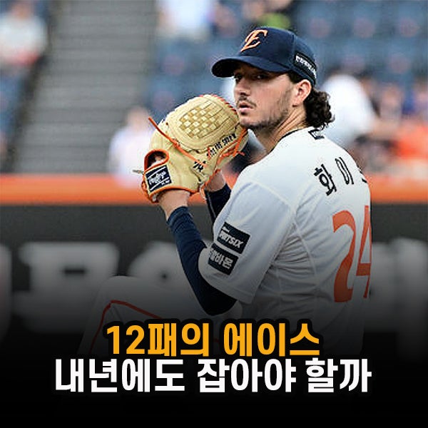 "나흘 휴식 투혼이었지만" 한화 화이트, 12패의 에이스 잡아야 할까