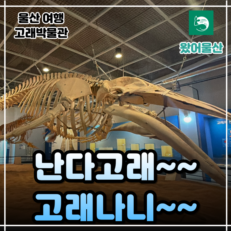 울산여행 장생포 고래박물관ㅣ고래뼈 만져보고 나서 완전 다르게 보였다