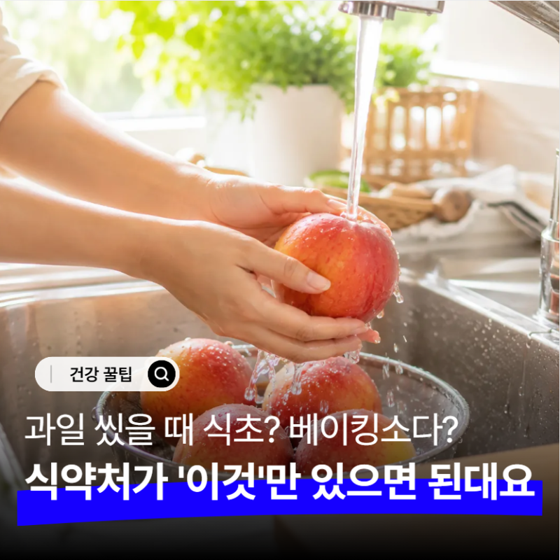 "식초도 베이킹소다도 아니었다.." 식약처에서 공식 인정한 과일 채소 제대로 씻는법