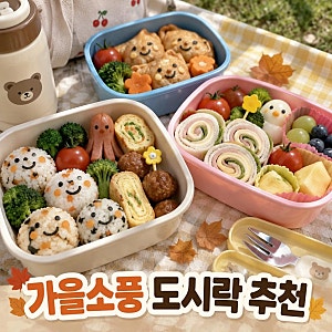 어린이집 가을 소풍 도시락 메뉴 추천｜22개월 아기 한입 메뉴와 준비 팁