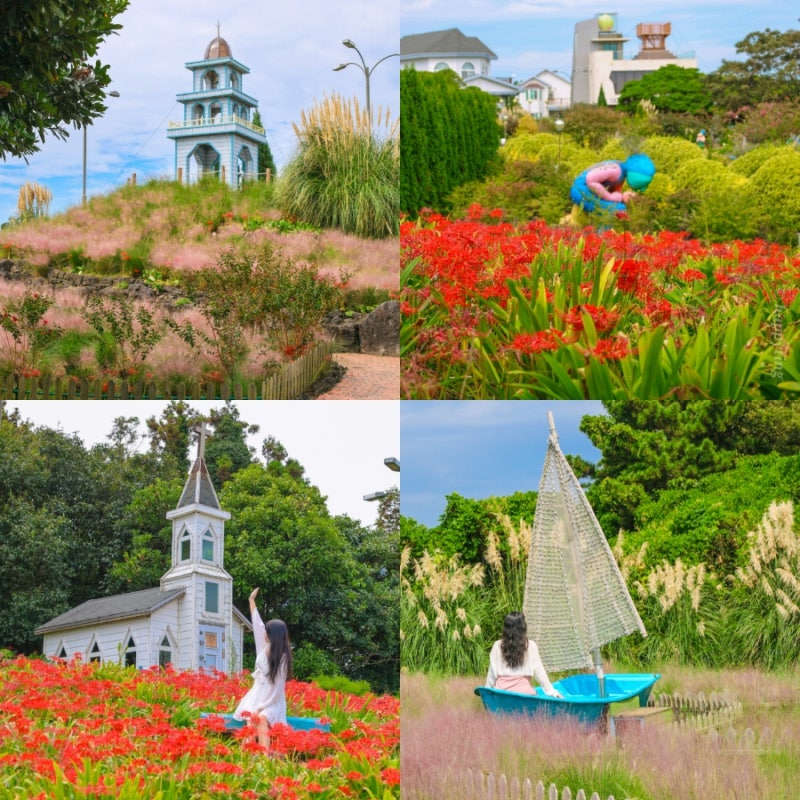 Jeju Herb Dongsan Pink Muhly Festival: Your October Jeju Trip Destination