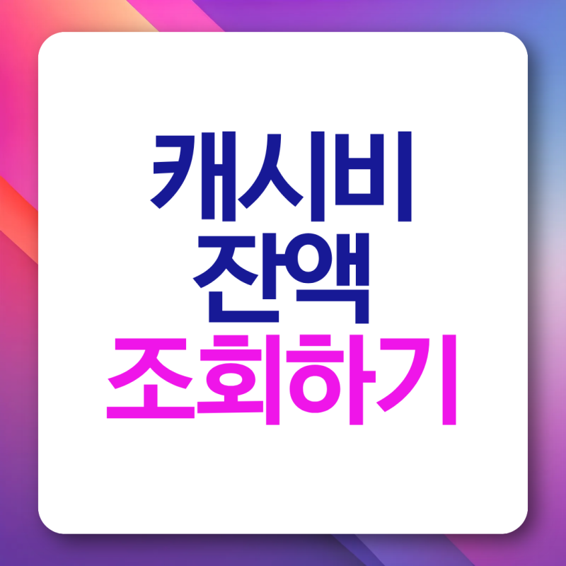 캐시비 잔액조회 사용내역 확인 방법 환불