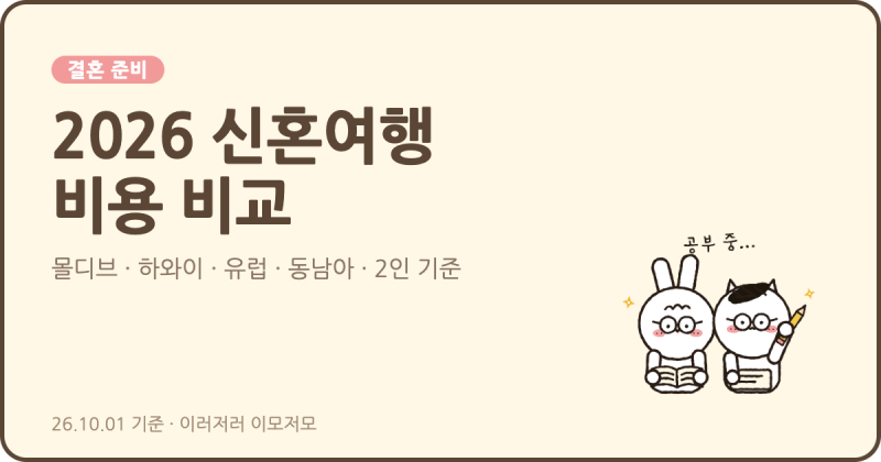 [결혼 준비] 2026 신혼여행 어디로 갈까? 몰디브·하와이·유럽·동남아 비용 비교 (1,000만원 예....
