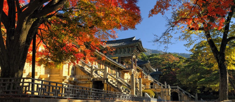 2026 경주 가을여행｜10월 가볼만한곳·불국사 단풍·황리단길·보문단지 숙소 총정리