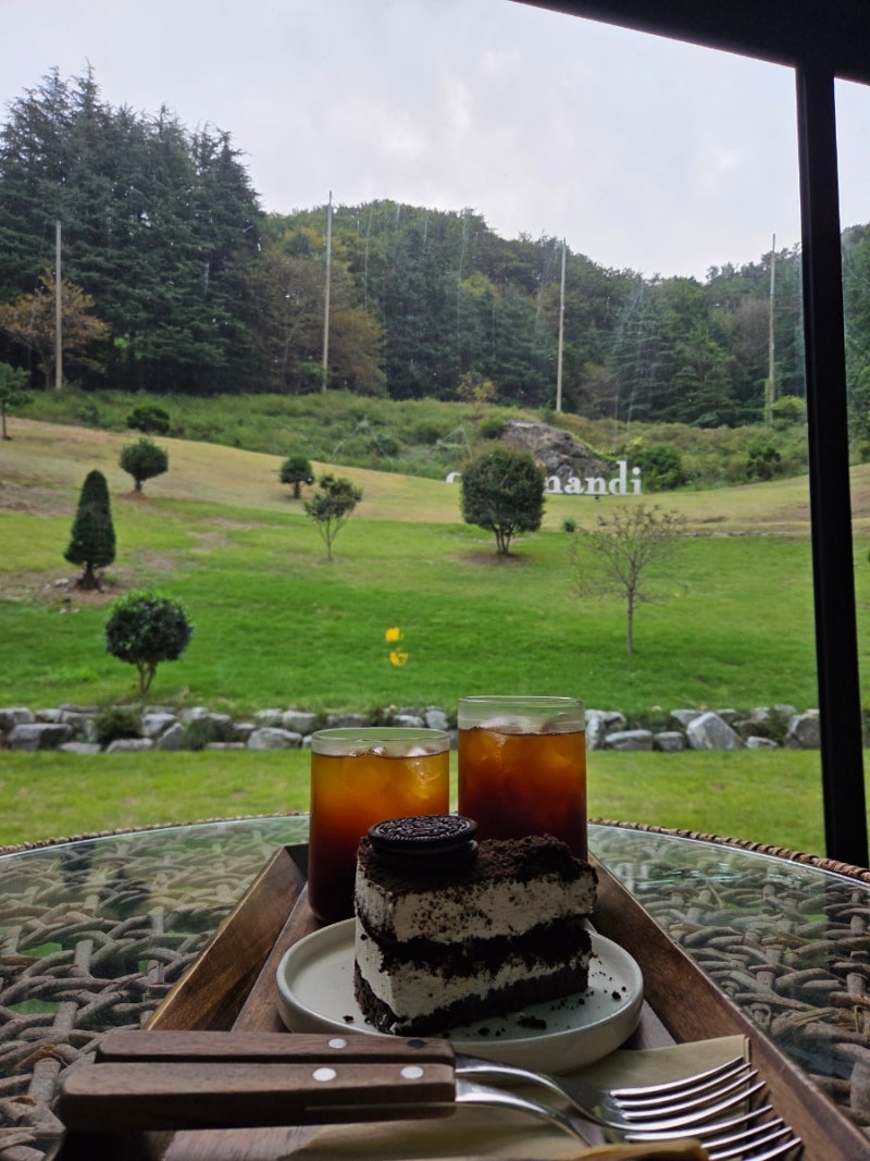 부산카페 만디, 높은 곳에서 즐기는 멋진 부산 뷰와 맛있는 커피 그리고 애견동반까지