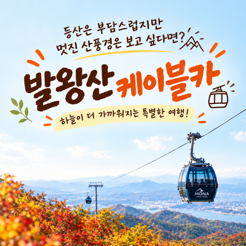 평창 발왕산 케이블카 타고 스카이워크까지 해발 1,458m를 등산 없이! 요금부터 할인받는 법까....