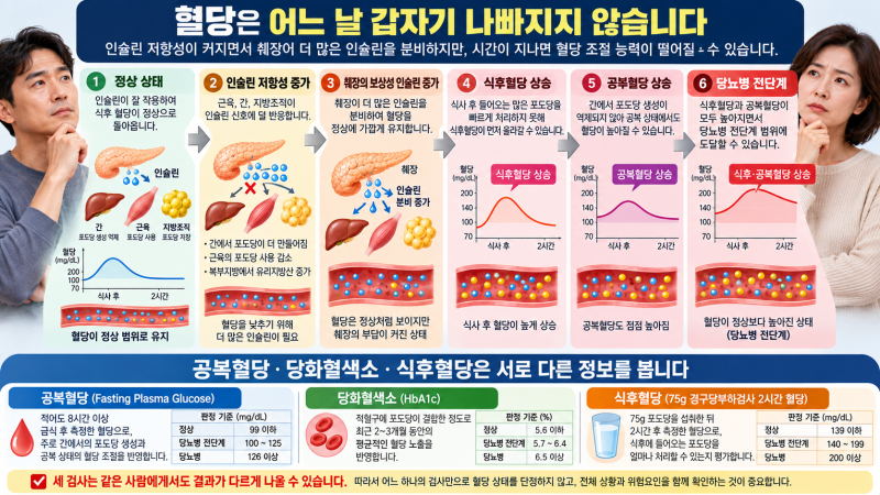 공복혈당은 괜찮은데 당화혈색소가 높다면? 40대부터 혈당이 달라지는 과정과 당뇨병 전단계....