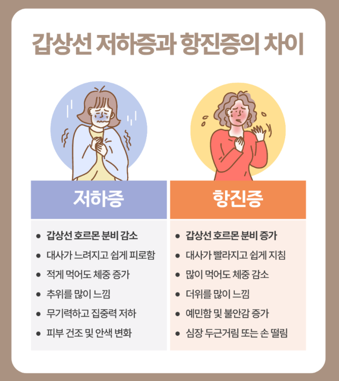 TSH, Free T4, T3 뜻과 정상수치 건강검진 결과지 3분 만에 읽는 법