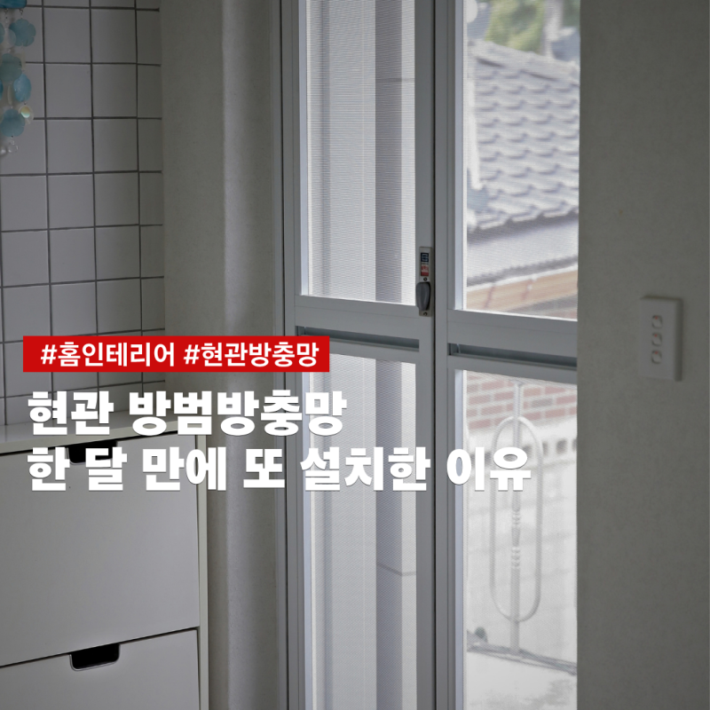 접이식 현관문 방충망 한 달 써보고 2층에도 설치한 이유, 스텐방충망 안전방충망 후기