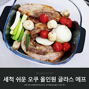 오쿠 올인원 글라스 에어프라이어 후기 모음. ZIP✨ 내열유리 4L+4L 대용량에어프라이어 유리....