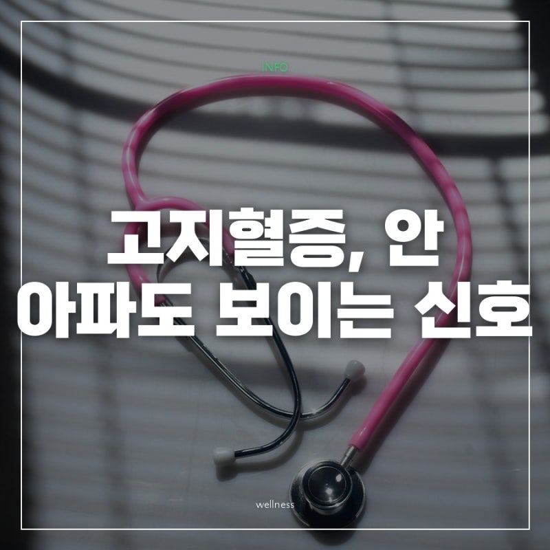 "아픈 데가 하나도 없는데요" 고지혈증 원인부터 놓치기 쉬운 증상 신호 5가지